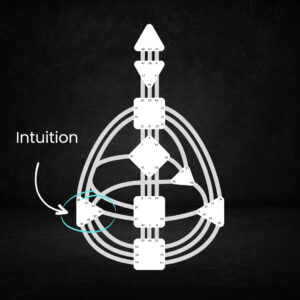The Splenic Center in Human Design: Meaning, Definition, & Not-Self Talk.