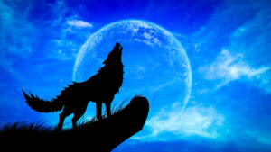 Reflectors and Awakening – Ra Excerpt